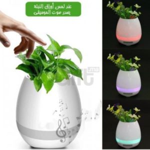 Mini Haut-Parleur Bluetooth Pot de Fleurs – Veilleuse LED 7 Couleurs